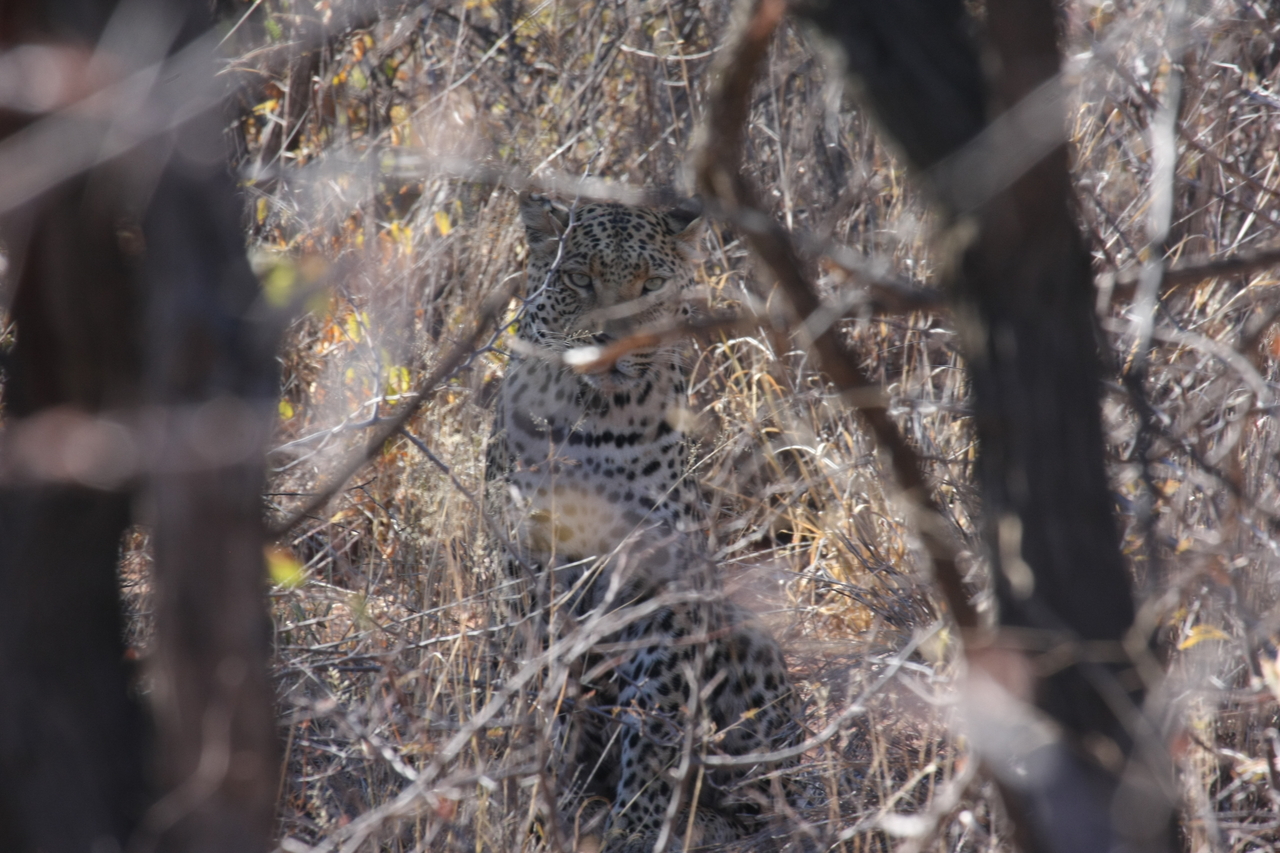 [2043] 2016_06_22_04_05_47_Africa_Canon_EOS_40D_IMG__00486.jpg