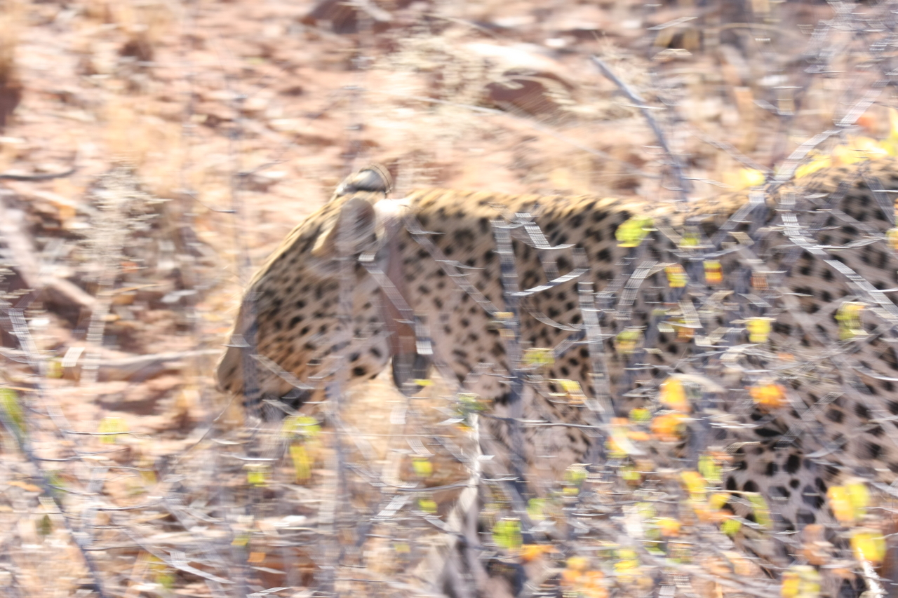 [2107] 2016_06_22_04_07_15_Africa_Canon_EOS_40D_IMG__00489.jpg