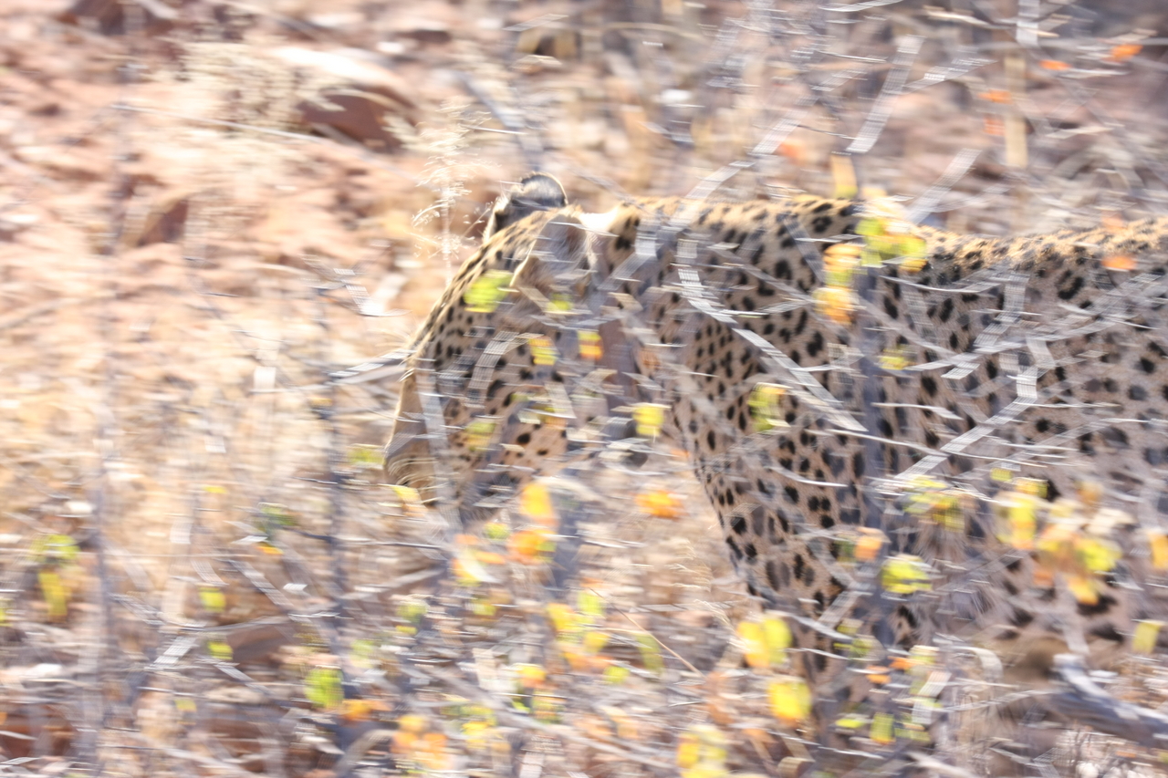 [2109] 2016_06_22_04_07_15_Africa_Canon_EOS_40D_IMG__00507.jpg