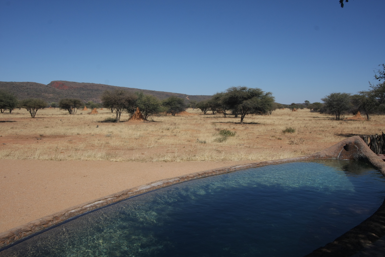 [2266] 2016_06_22_07_35_47_Africa_Canon_EOS_40D_IMG__07976.jpg