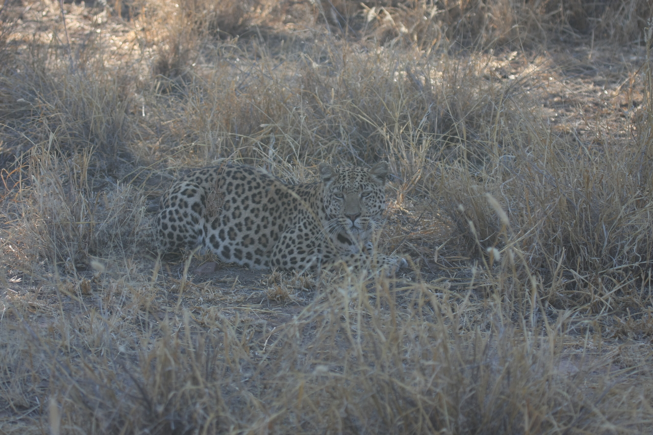 [2574] 2016_06_22_10_58_28_Africa_Canon_EOS_40D_IMG__00532.jpg
