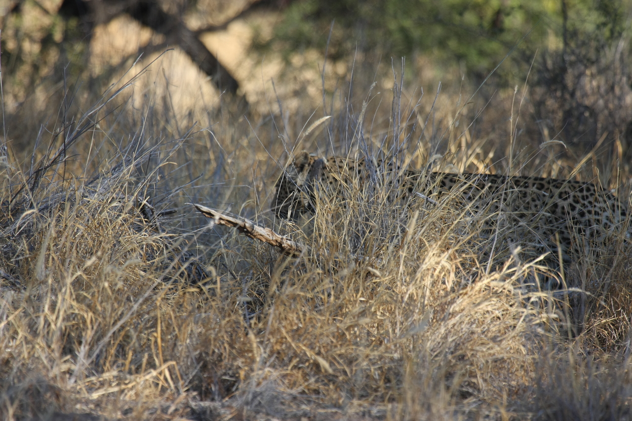 [2888] 2016_06_22_11_04_23_Africa_Canon_EOS_40D_IMG__00650.jpg