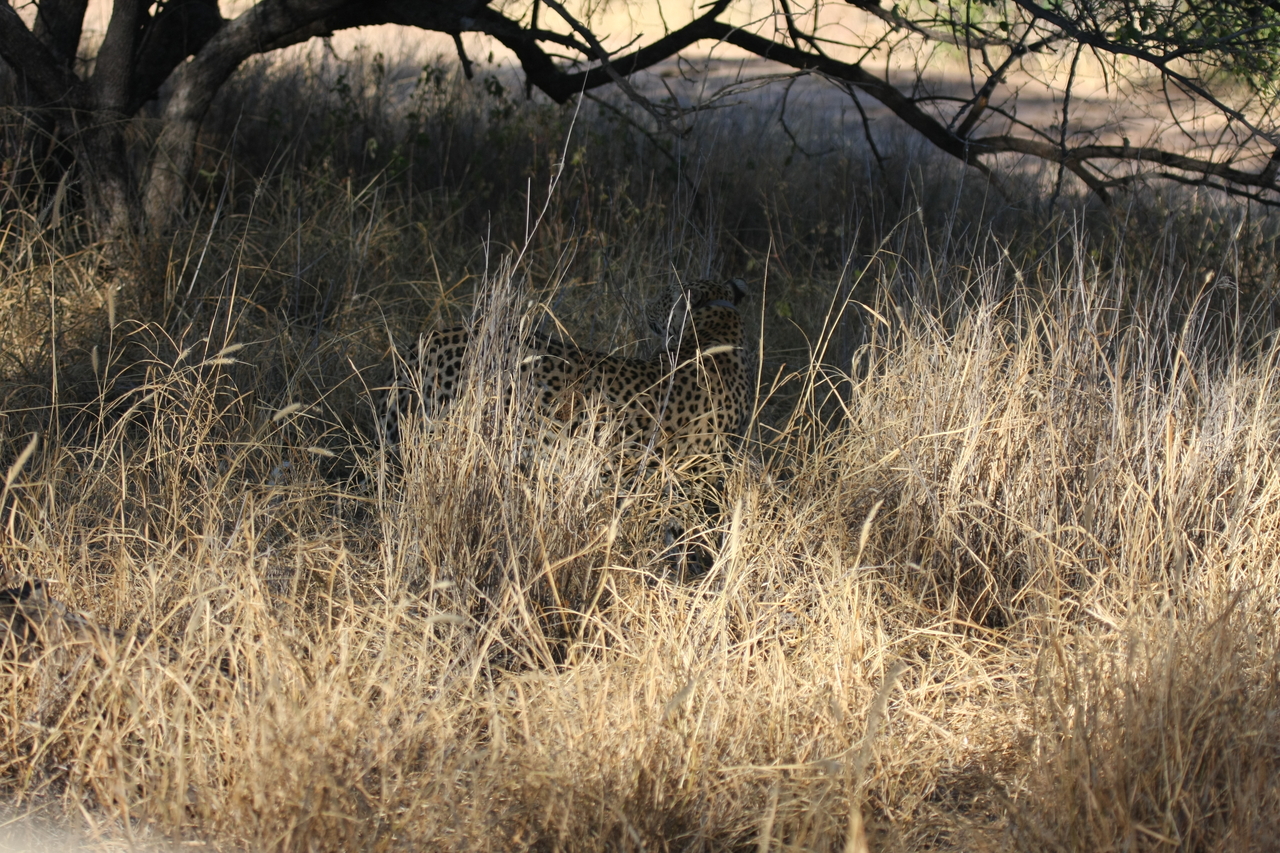 [2890] 2016_06_22_11_05_51_Africa_Canon_EOS_40D_IMG__00632.jpg