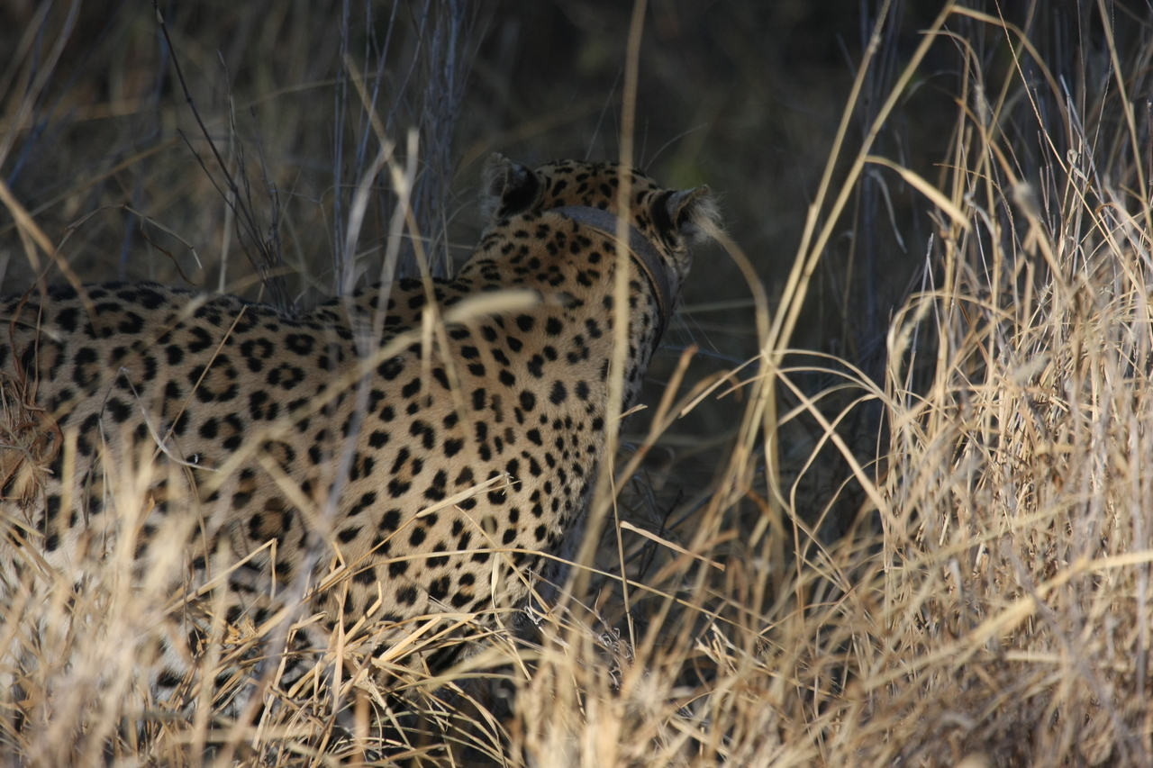 [2929] 2016_06_22_11_06_37_Africa_Canon_EOS_40D_IMG__00645.jpg