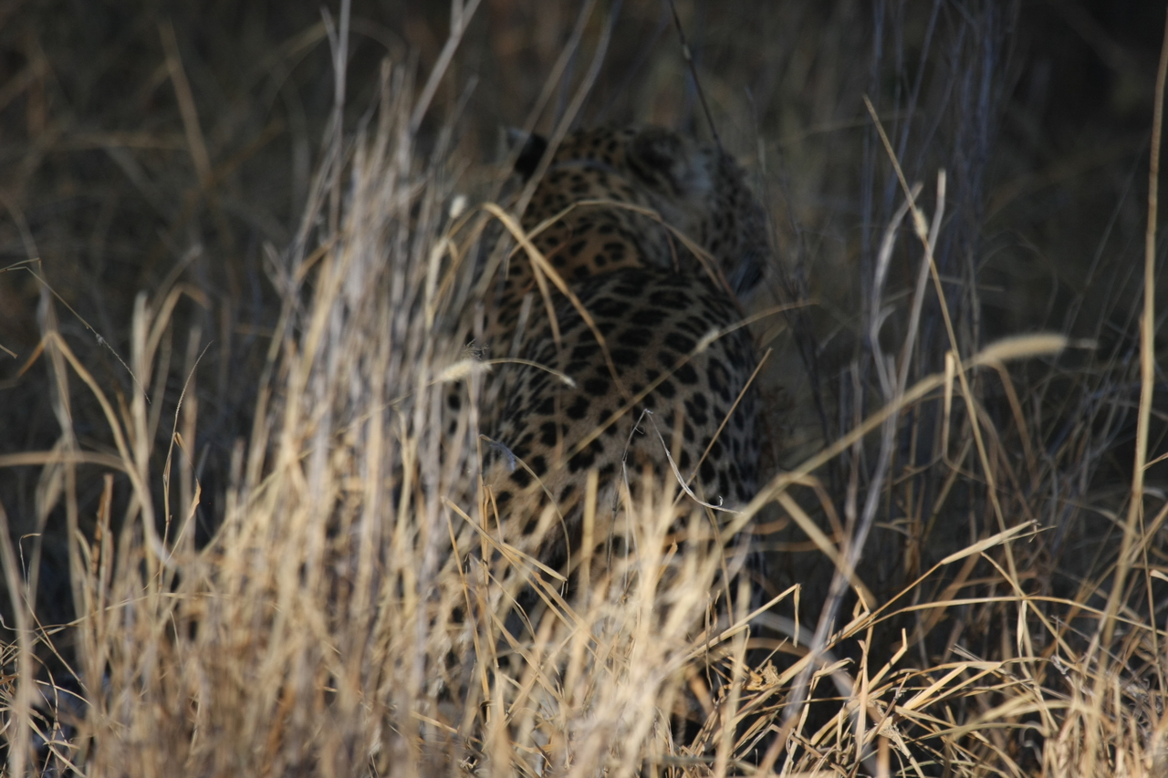 [2933] 2016_06_22_11_06_42_Africa_Canon_EOS_40D_IMG__00665.jpg