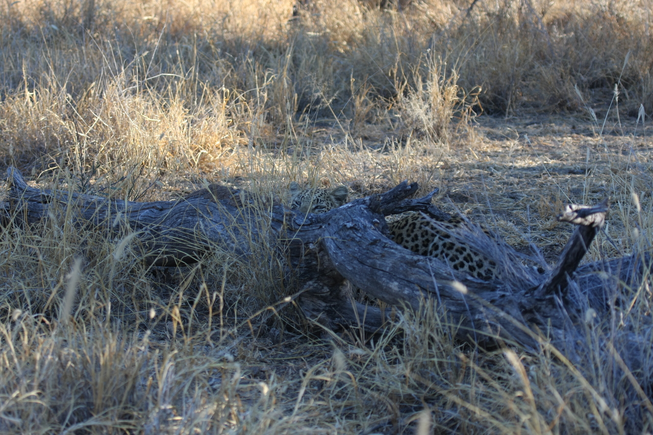 [3027] 2016_06_22_11_18_52_Africa_Canon_EOS_40D_IMG__00673.jpg