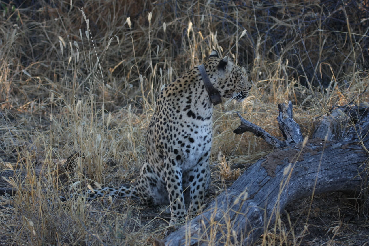 [3201] 2016_06_22_11_23_28_Africa_Canon_EOS_40D_IMG__00729.jpg