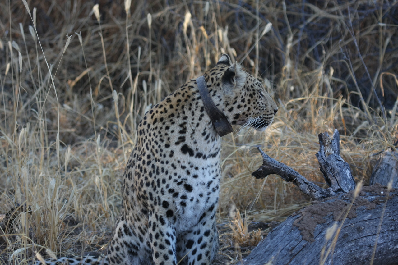 [3217] 2016_06_22_11_23_35_Africa_Canon_EOS_40D_IMG__00749.jpg