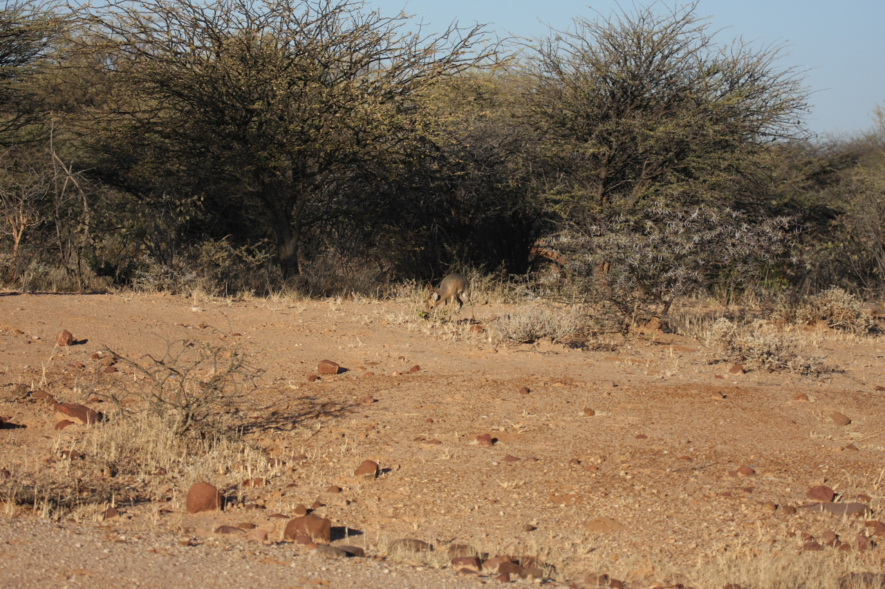 [3249] 2016_06_22_11_32_03_Africa_Canon_EOS_40D_IMG__00739.jpg