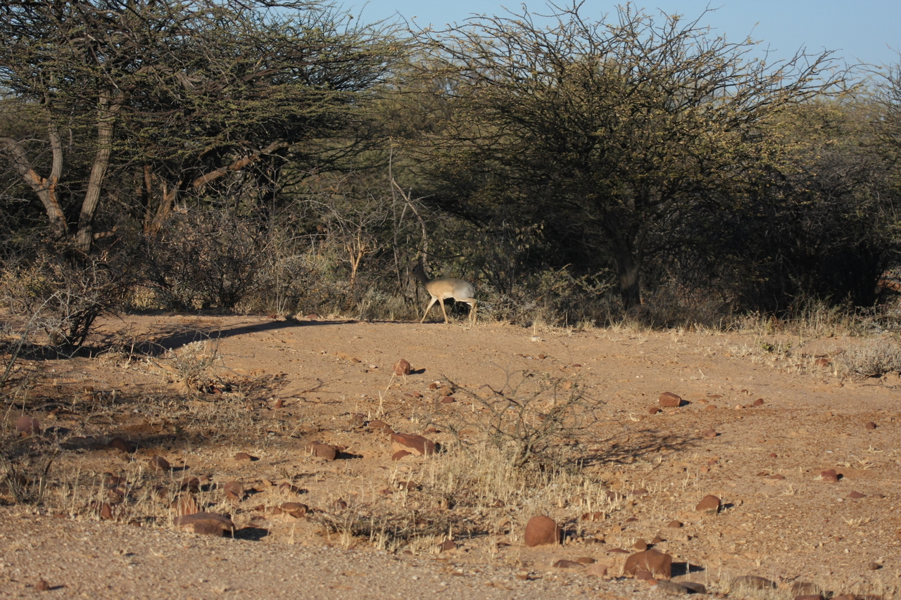 [3258] 2016_06_22_11_32_09_Africa_Canon_EOS_40D_IMG__00760.jpg