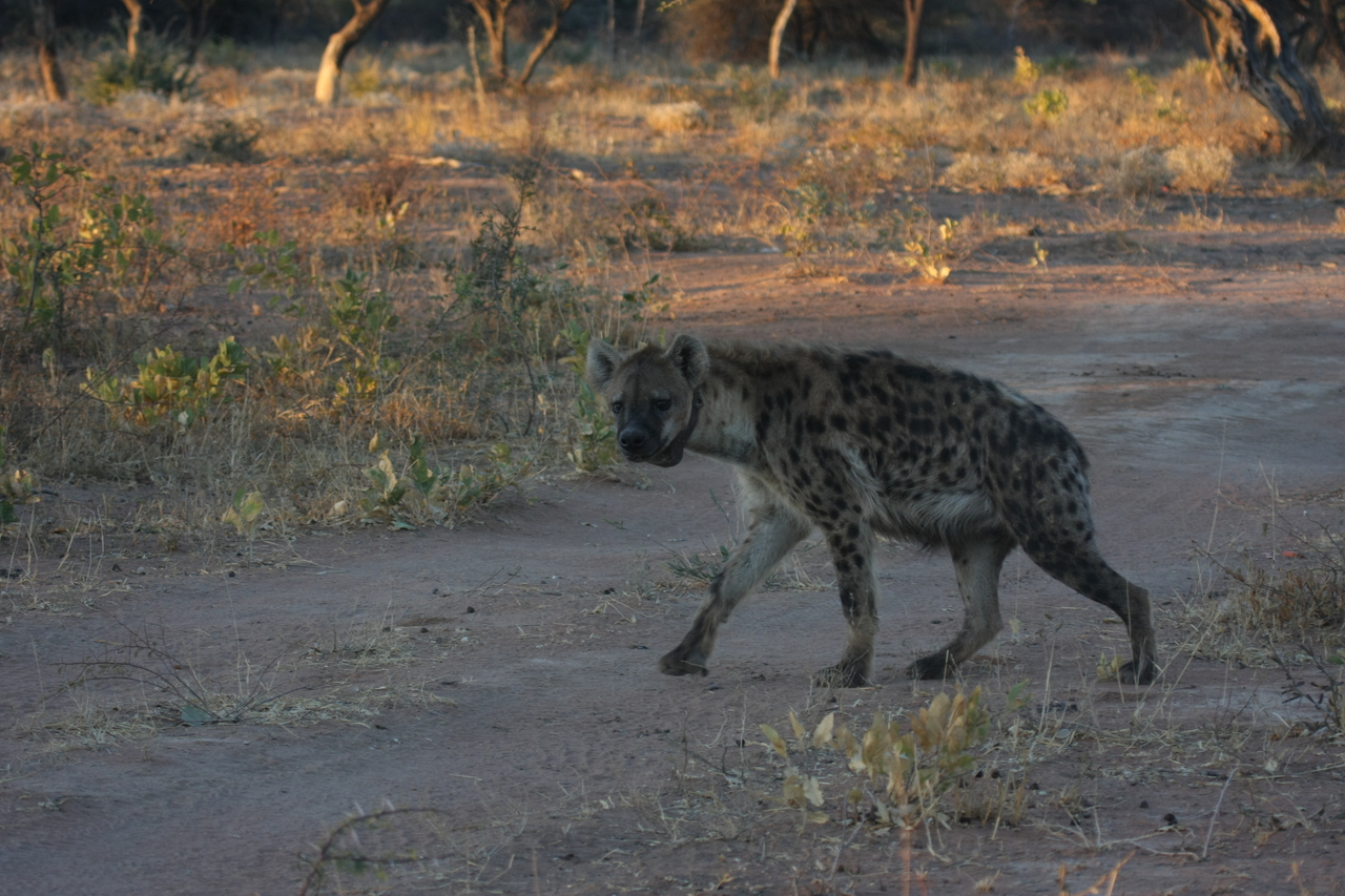 [3360] 2016_06_22_12_06_02_Africa_Canon_EOS_40D_IMG__08236.jpg