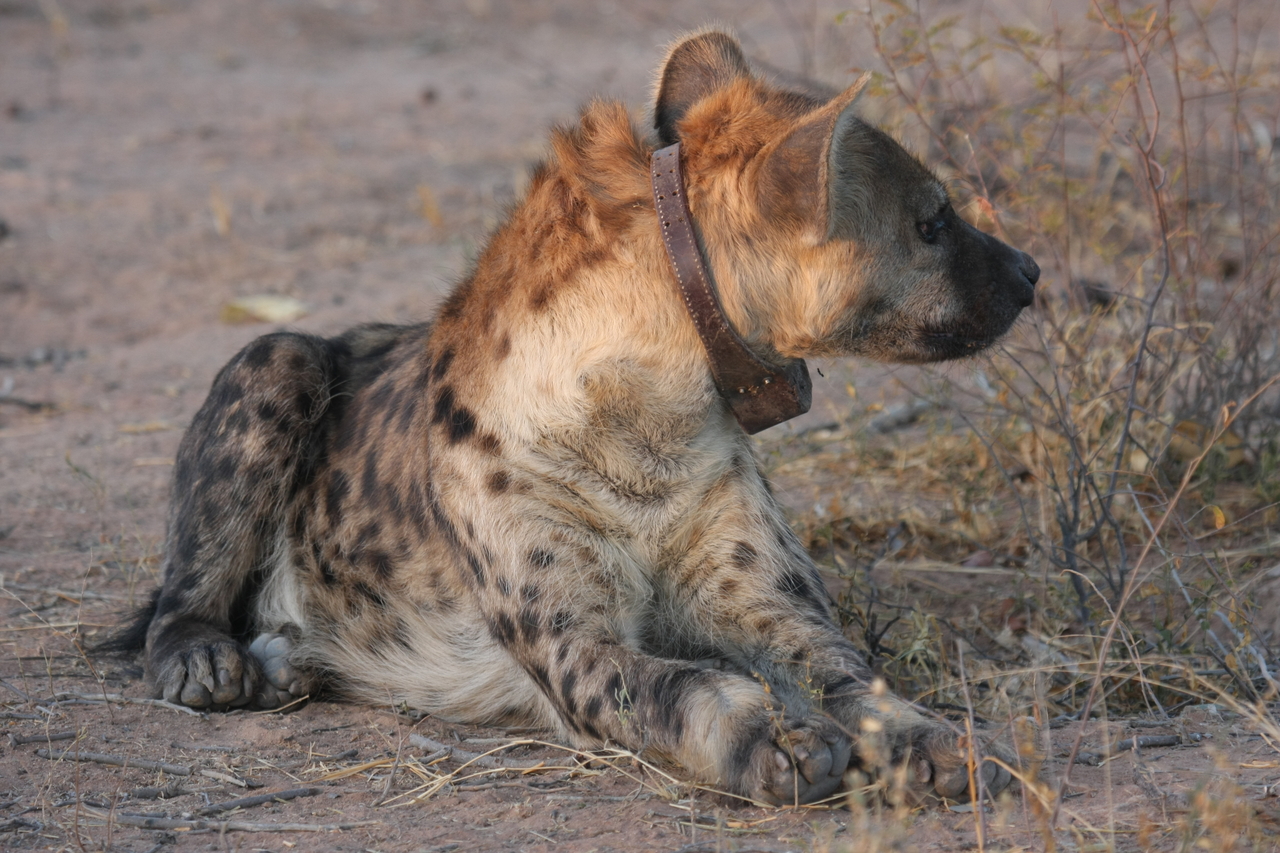 [3442] 2016_06_22_12_09_00_Africa_Canon_EOS_40D_IMG__08264.jpg