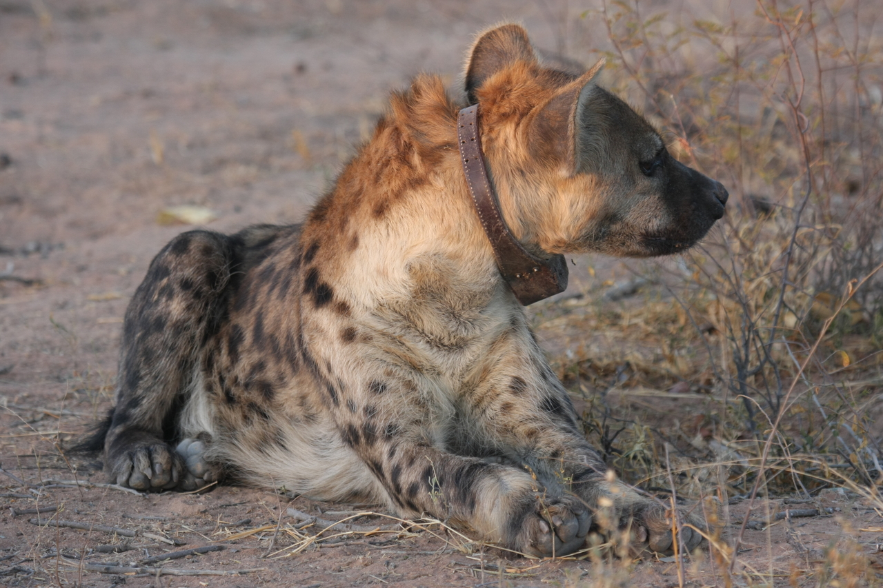 [3443] 2016_06_22_12_09_01_Africa_Canon_EOS_40D_IMG__00799.jpg
