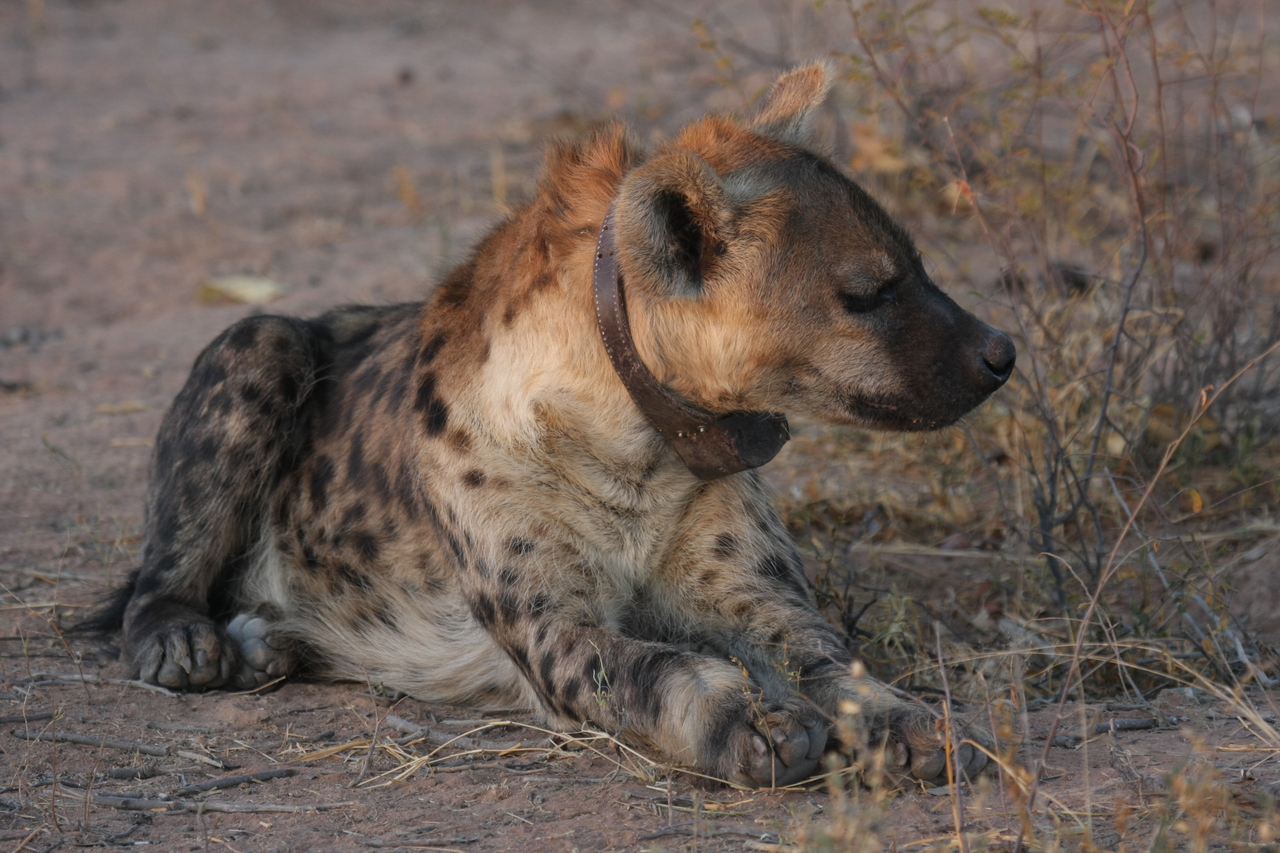 [3448] 2016_06_22_12_09_03_Africa_Canon_EOS_40D_IMG__00819.jpg