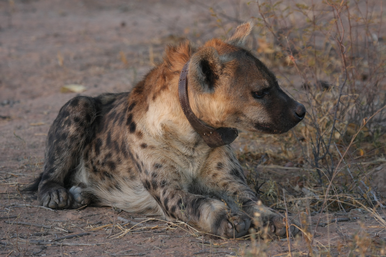 [3449] 2016_06_22_12_09_03_Africa_Canon_EOS_40D_IMG__00820.jpg