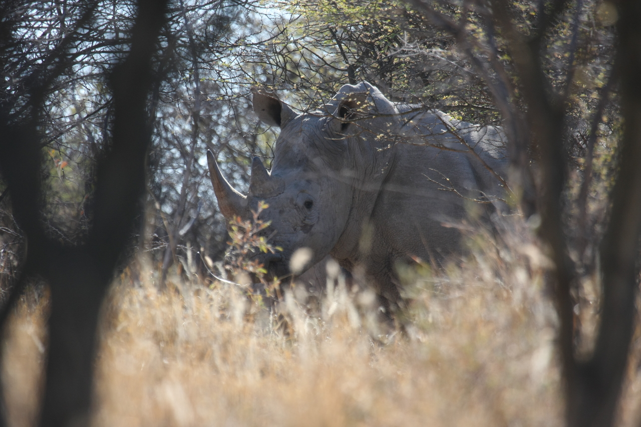 [4650] 2016_06_23_04_17_45_Africa_Canon_EOS_40D_IMG__00023.jpg
