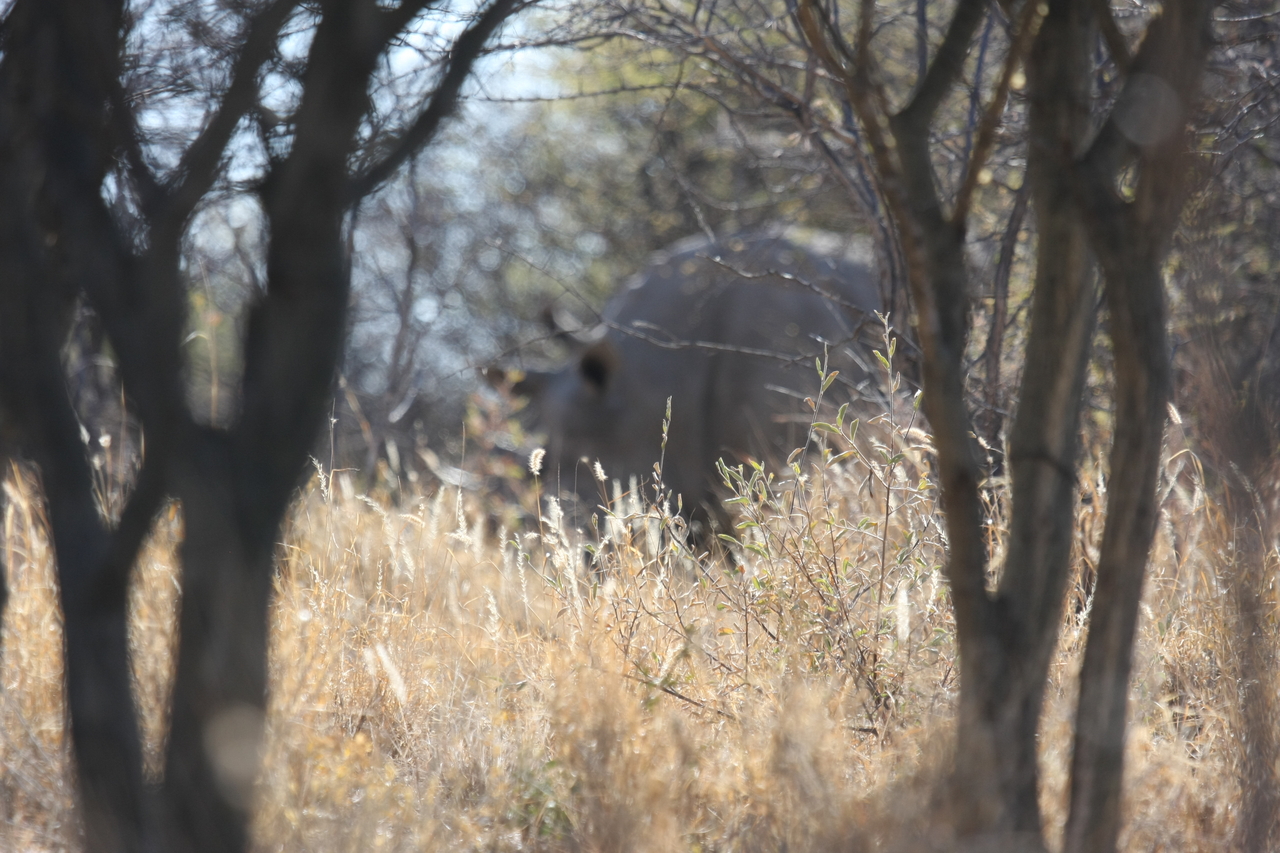 [4685] 2016_06_23_04_18_22_Africa_Canon_EOS_40D_IMG__00032.jpg