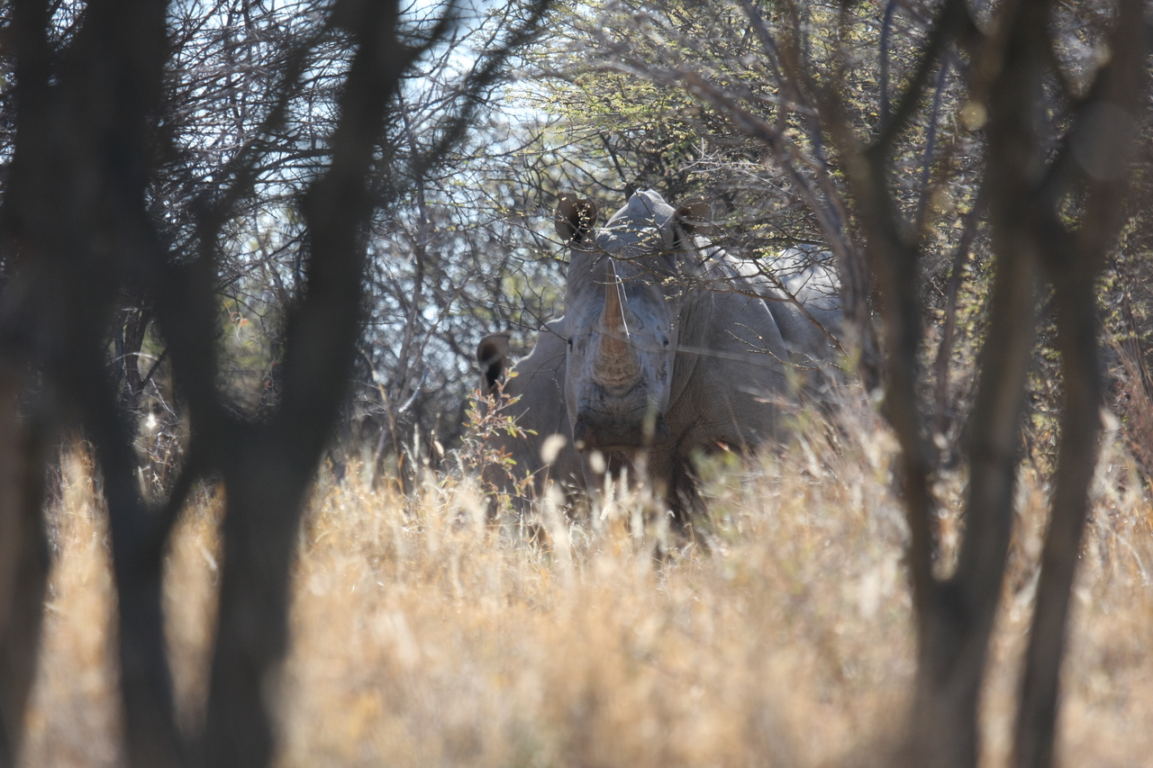 [4694] 2016_06_23_04_18_46_Africa_Canon_EOS_40D_IMG__00035.jpg