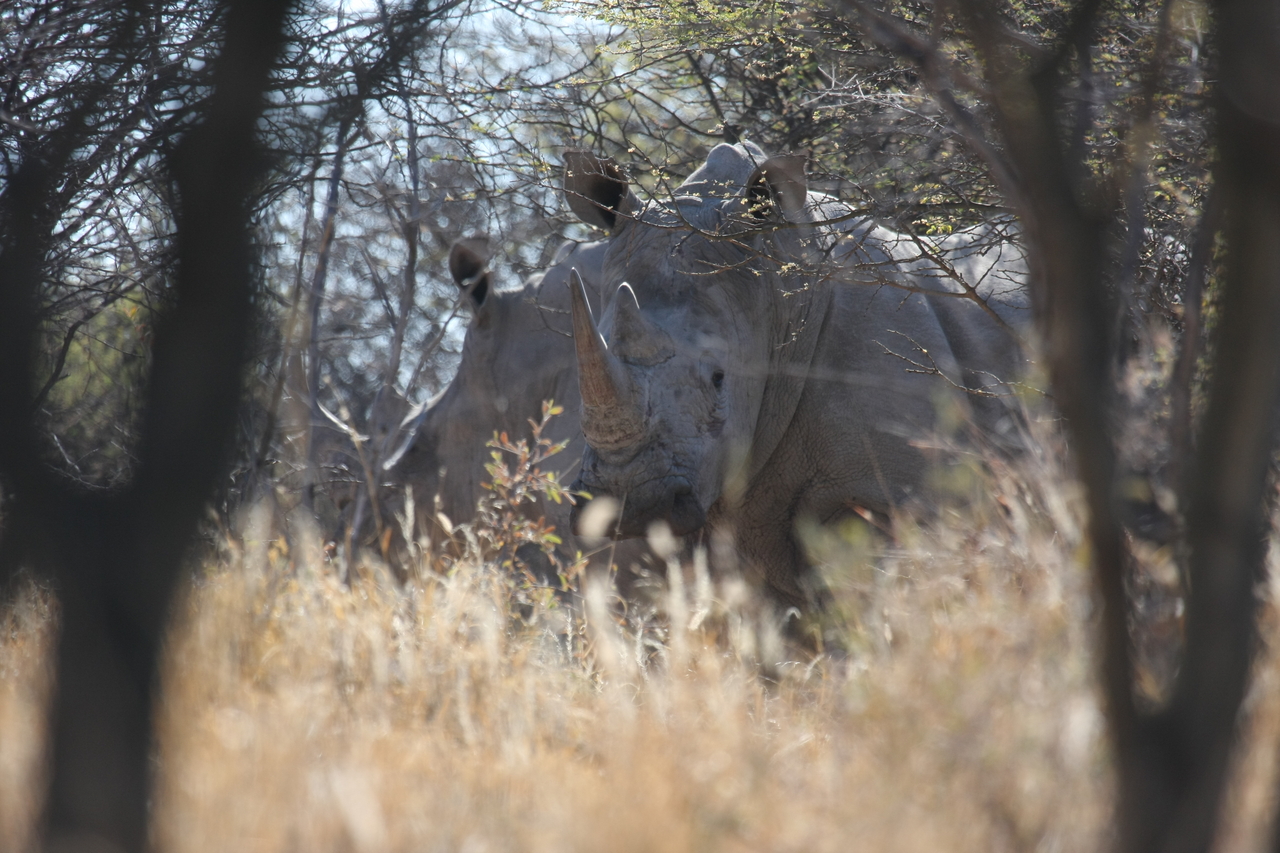[4704] 2016_06_23_04_18_53_Africa_Canon_EOS_40D_IMG__00039.jpg