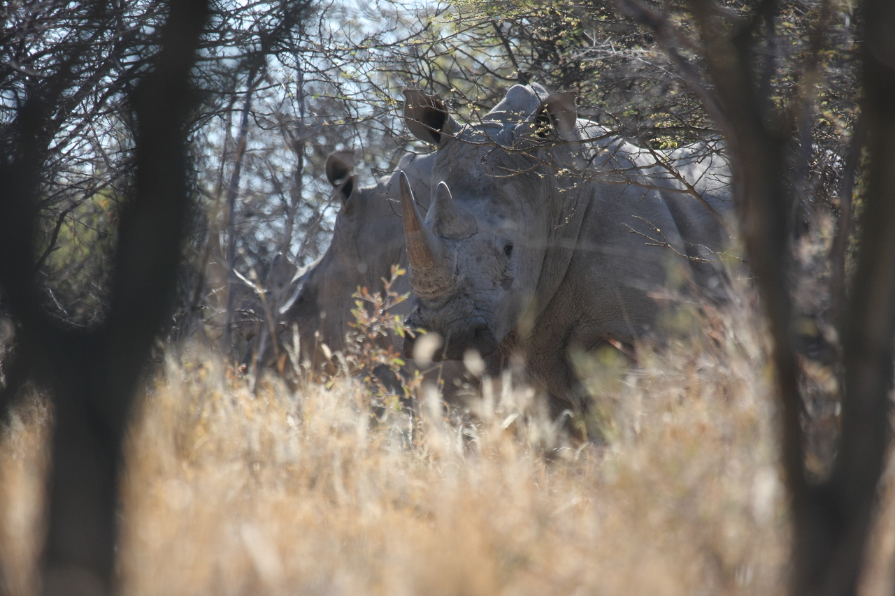 [4707] 2016_06_23_04_18_53_Africa_Canon_EOS_40D_IMG__08319.jpg