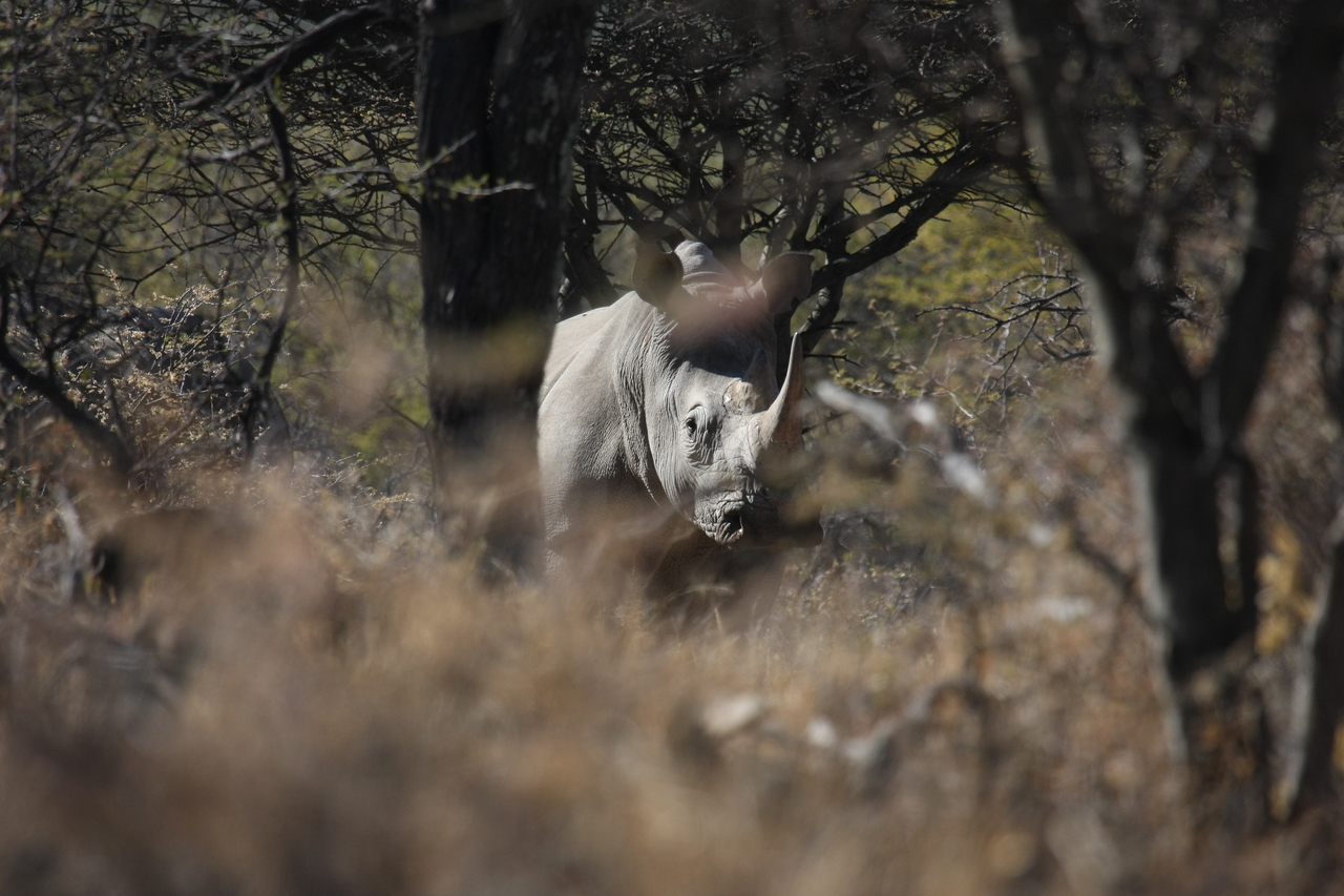 [4822] 2016_06_23_04_24_23_Africa_Canon_EOS_40D_IMG__00071.jpg