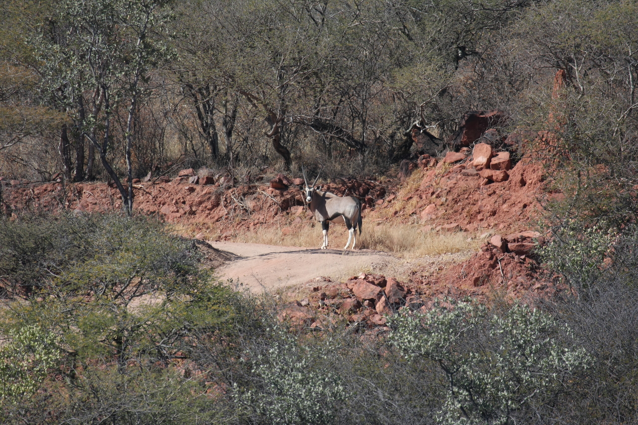 [5029] 2016_06_23_05_23_41_Africa_Canon_EOS_40D_IMG__00959.jpg