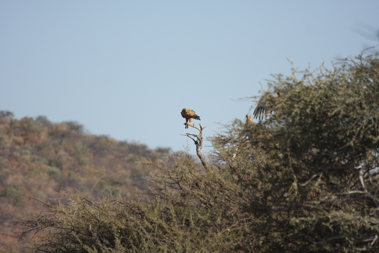 [5432] 2016_06_23_10_01_14_Africa_Canon_EOS_40D_IMG__00145.jpg