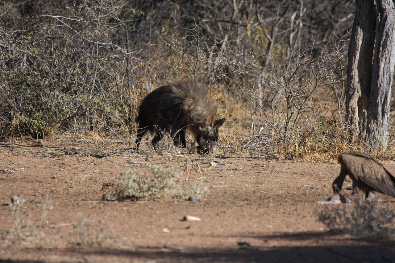 [5476] 2016_06_23_10_04_05_Africa_Canon_EOS_40D_IMG__08440.jpg