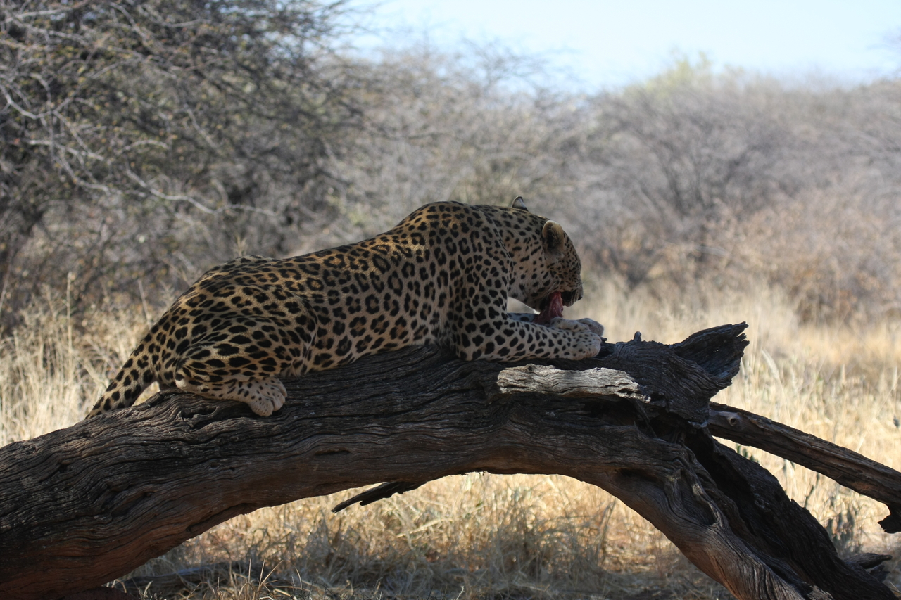 [5545] 2016_06_23_10_16_52_Africa_Canon_EOS_40D_IMG__00176.jpg