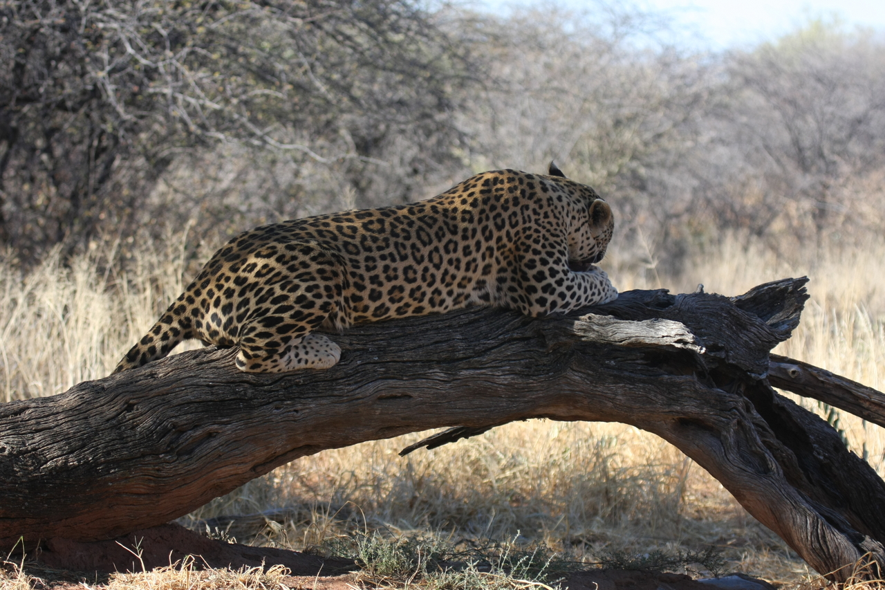 [5614] 2016_06_23_10_19_11_Africa_Canon_EOS_40D_IMG__01031.jpg