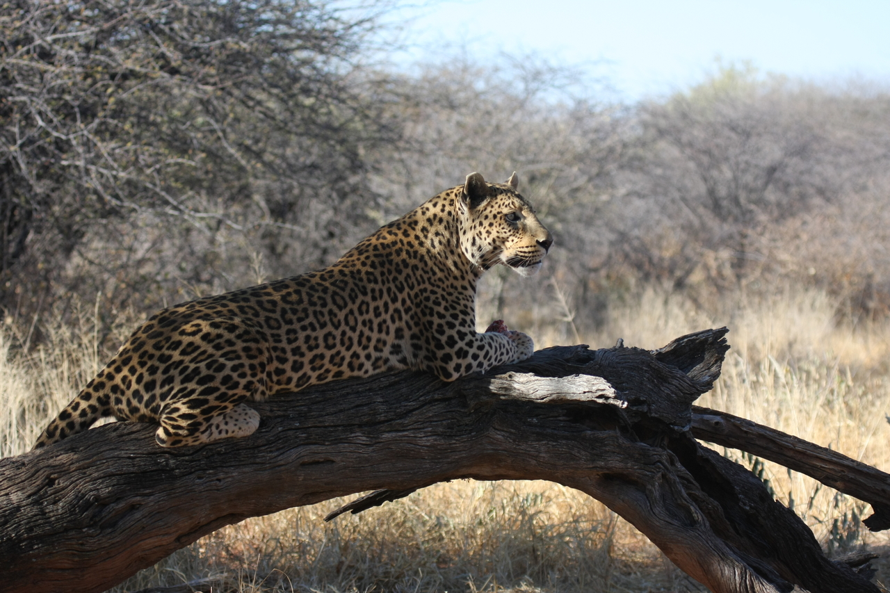[5623] 2016_06_23_10_23_29_Africa_Canon_EOS_40D_IMG__08481.jpg