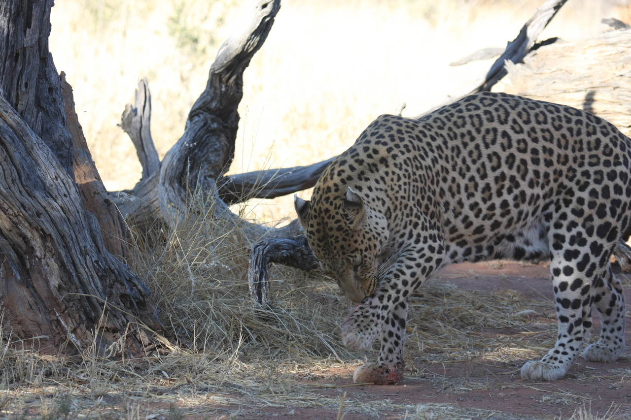 [5678] 2016_06_23_10_25_16_Africa_Canon_EOS_40D_IMG__01049.jpg