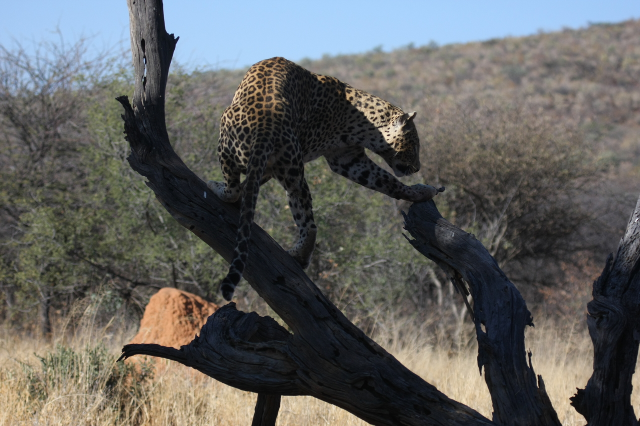 [5710] 2016_06_23_10_25_33_Africa_Canon_EOS_40D_IMG__08506.jpg