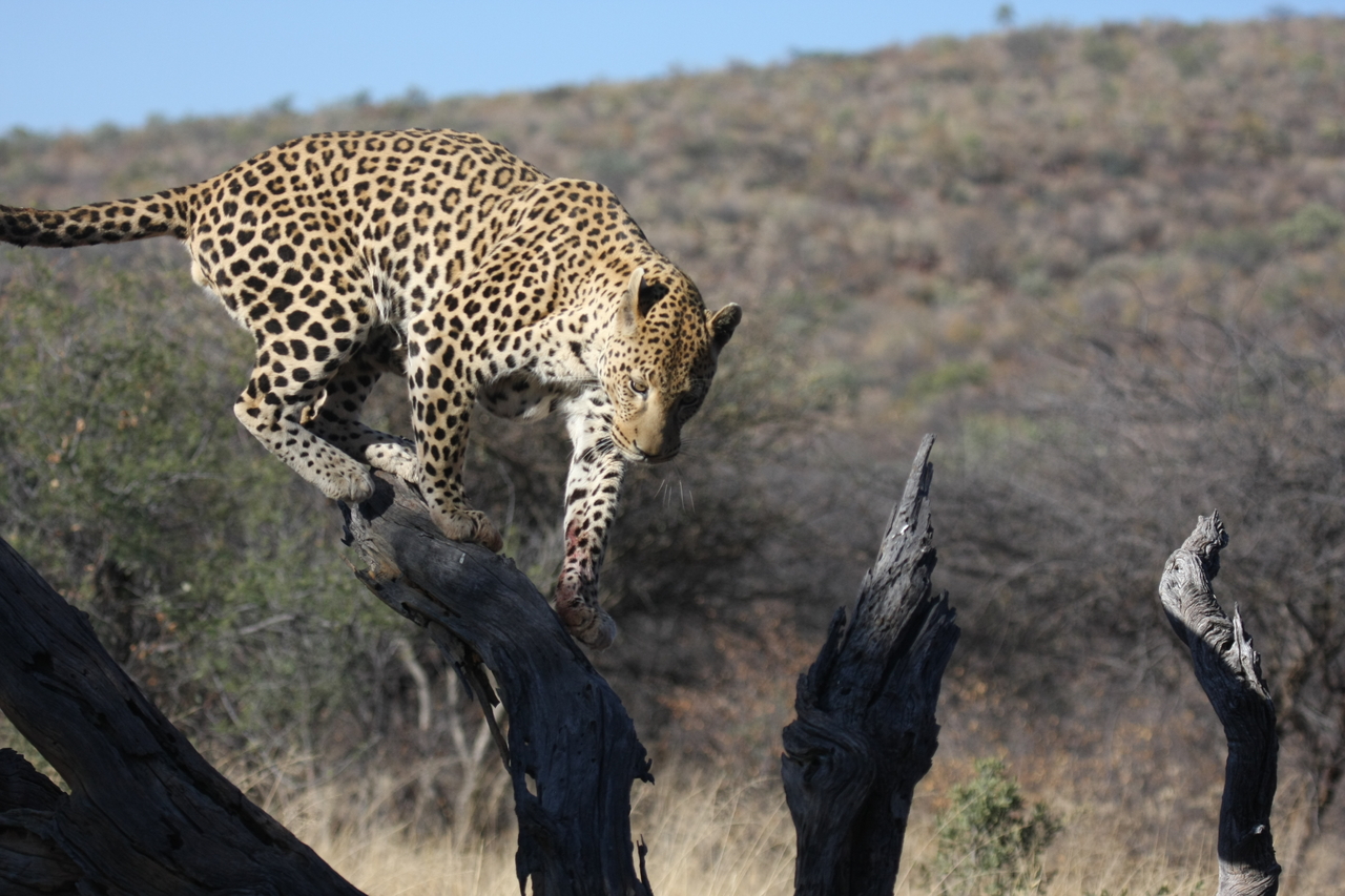 [5714] 2016_06_23_10_25_43_Africa_Canon_EOS_40D_IMG__00227.jpg