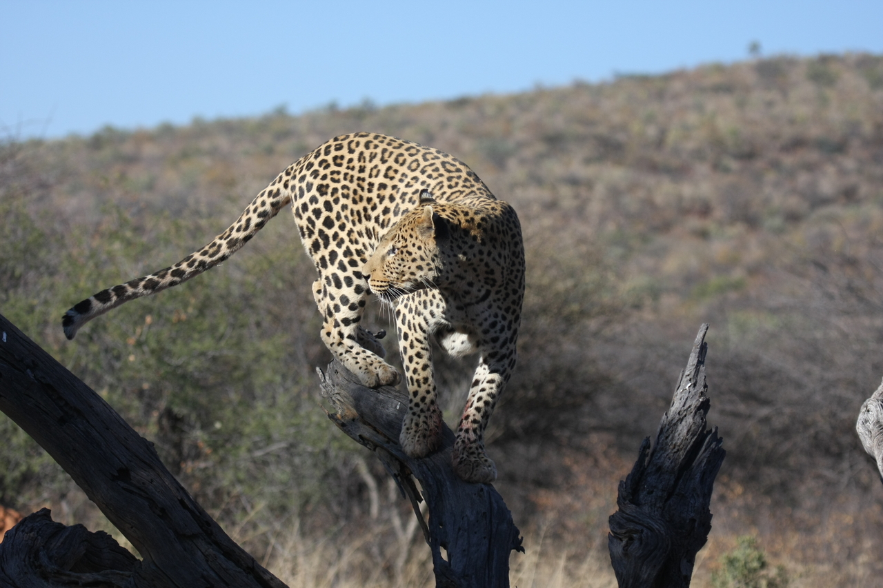 [5724] 2016_06_23_10_25_44_Africa_Canon_EOS_40D_IMG__01064.jpg