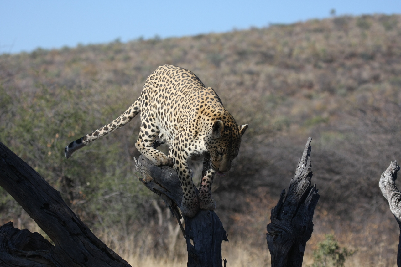 [5737] 2016_06_23_10_25_47_Africa_Canon_EOS_40D_IMG__00236.jpg