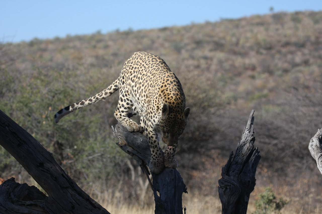 [5744] 2016_06_23_10_25_48_Africa_Canon_EOS_40D_IMG__00237.jpg