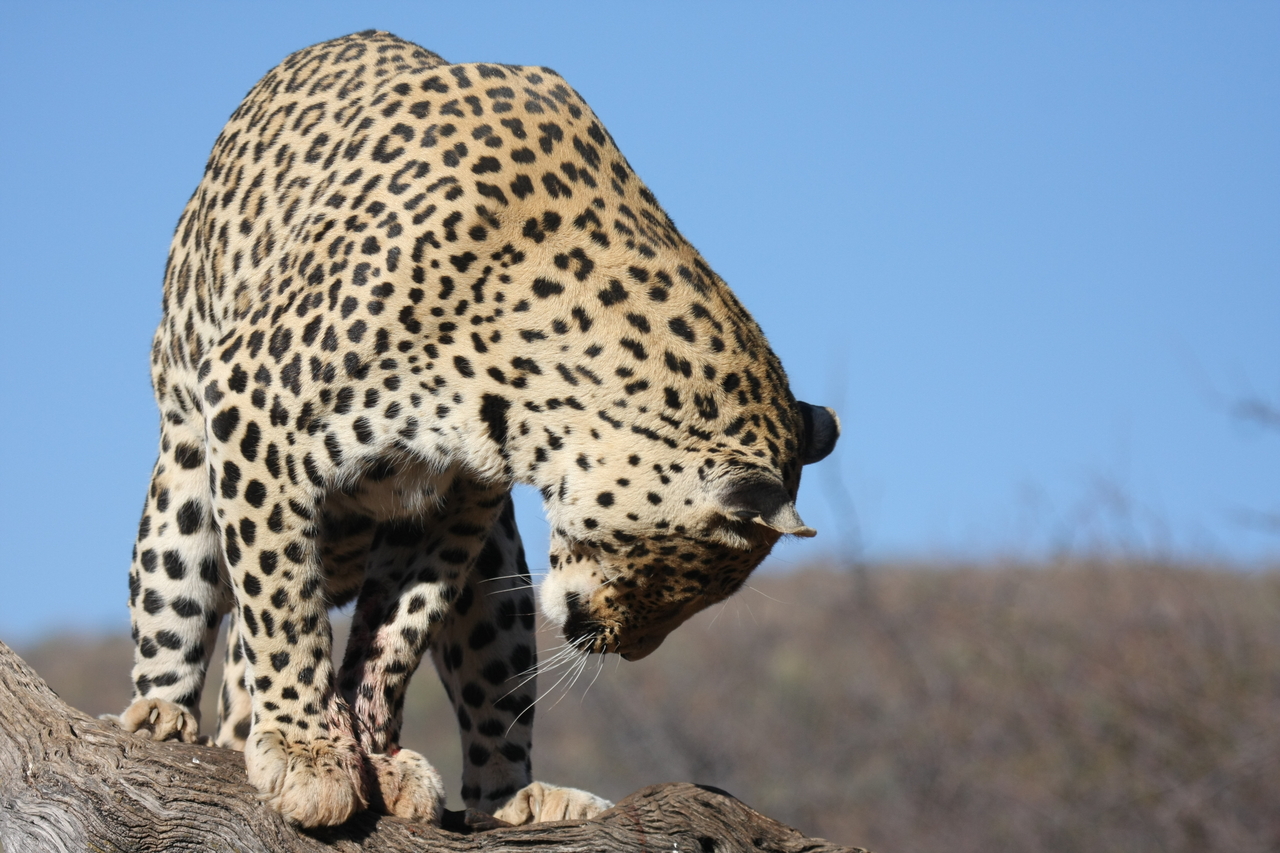 [5811] 2016_06_23_10_26_29_Africa_Canon_EOS_40D_IMG__08539.jpg