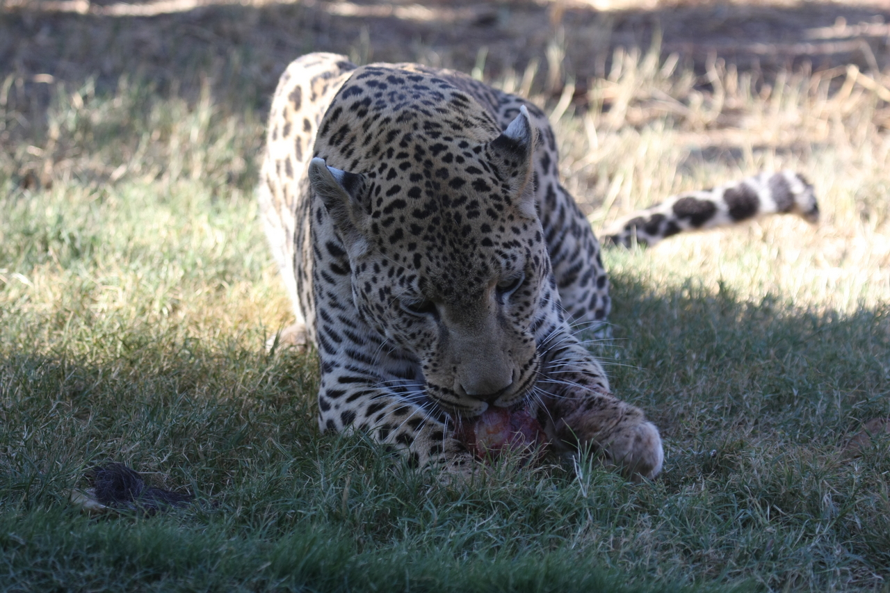 [5868] 2016_06_23_10_27_22_Africa_Canon_EOS_40D_IMG__01108.jpg