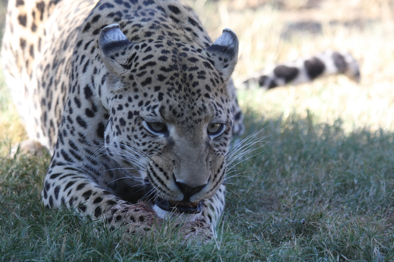 [5882] 2016_06_23_10_27_32_Africa_Canon_EOS_40D_IMG__00279.jpg