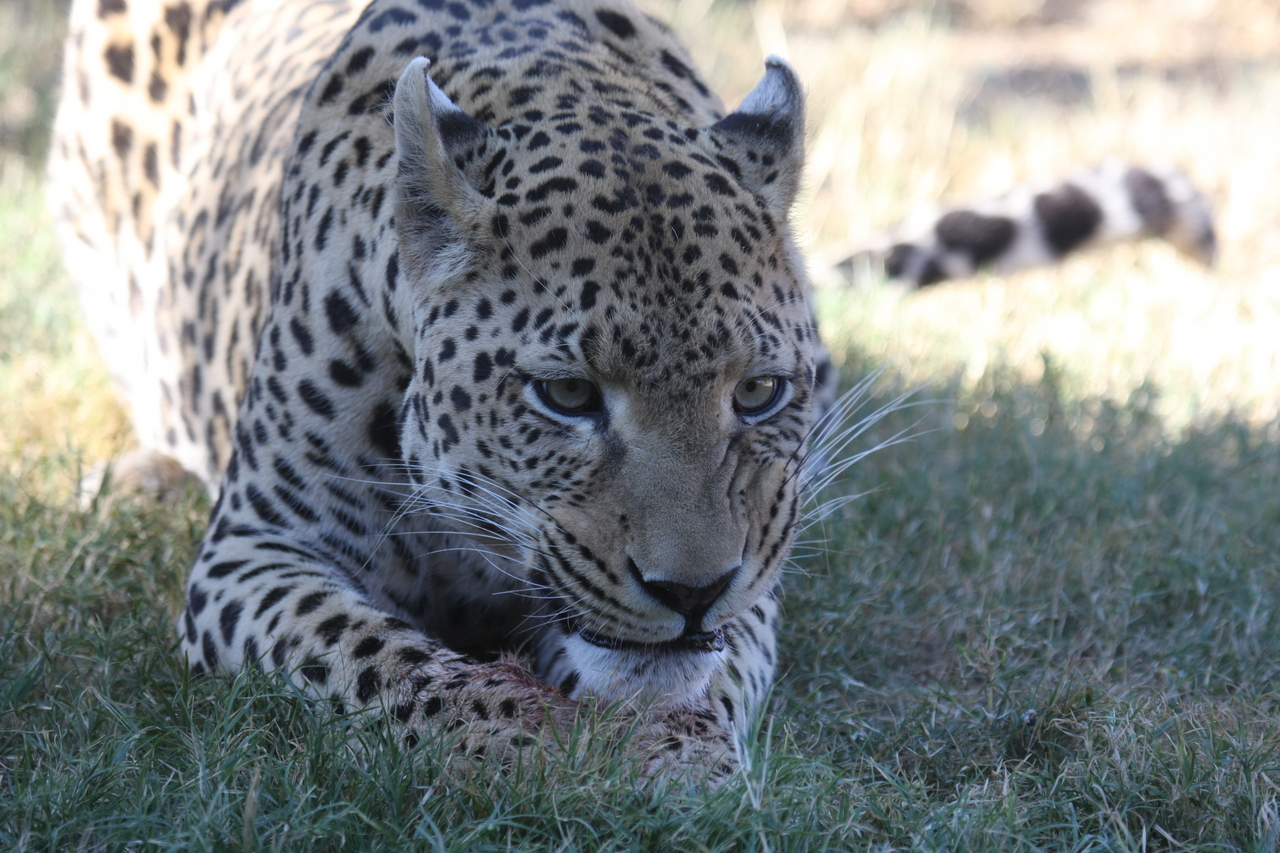 [5895] 2016_06_23_10_27_33_Africa_Canon_EOS_40D_IMG__08563.jpg