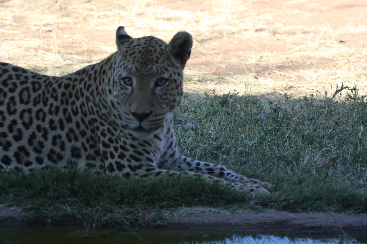 [6017] 2016_06_23_10_30_08_Africa_Canon_EOS_40D_IMG__01149.jpg
