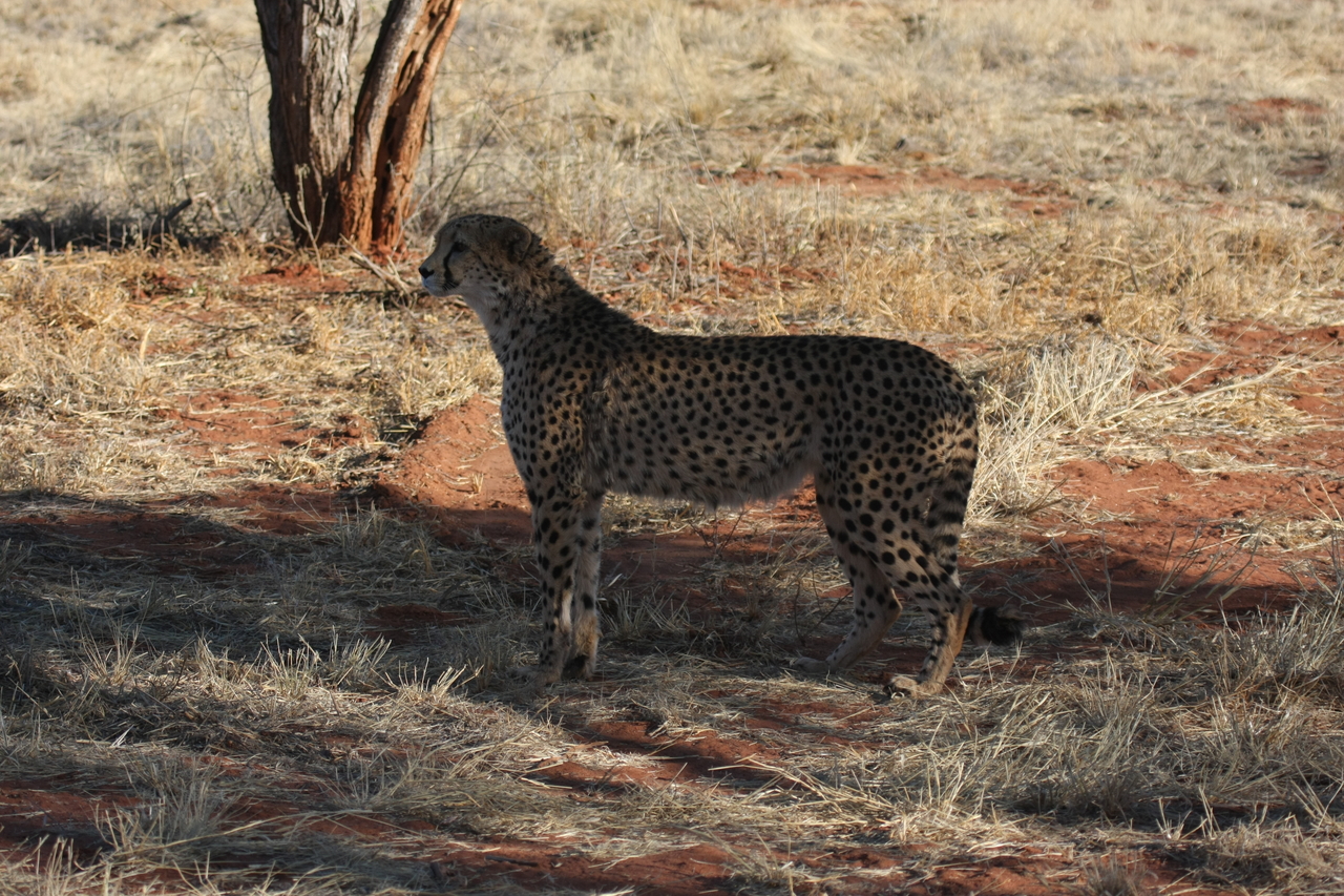 [6227] 2016_06_23_10_43_41_Africa_Canon_EOS_40D_IMG__01167.jpg