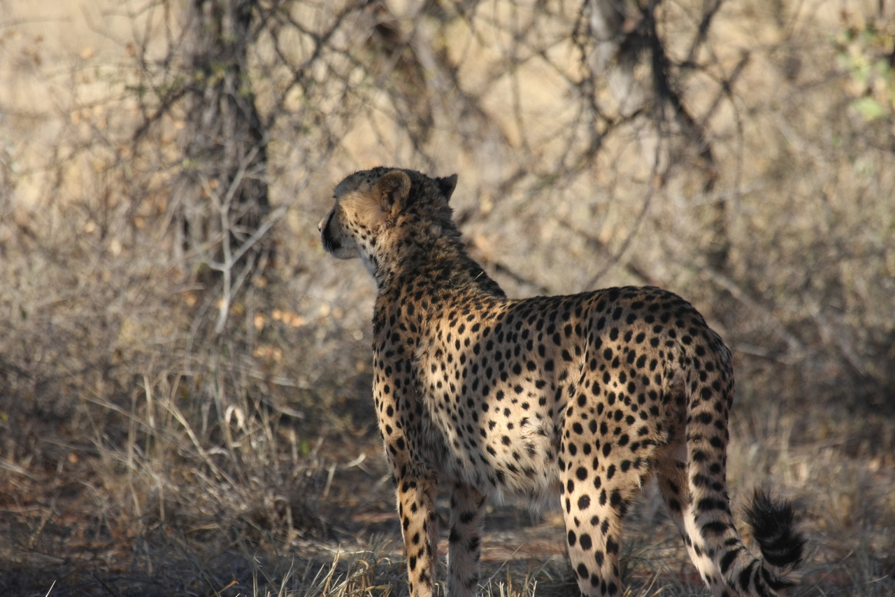 [6457] 2016_06_23_10_50_31_Africa_Canon_EOS_40D_IMG__08681.jpg