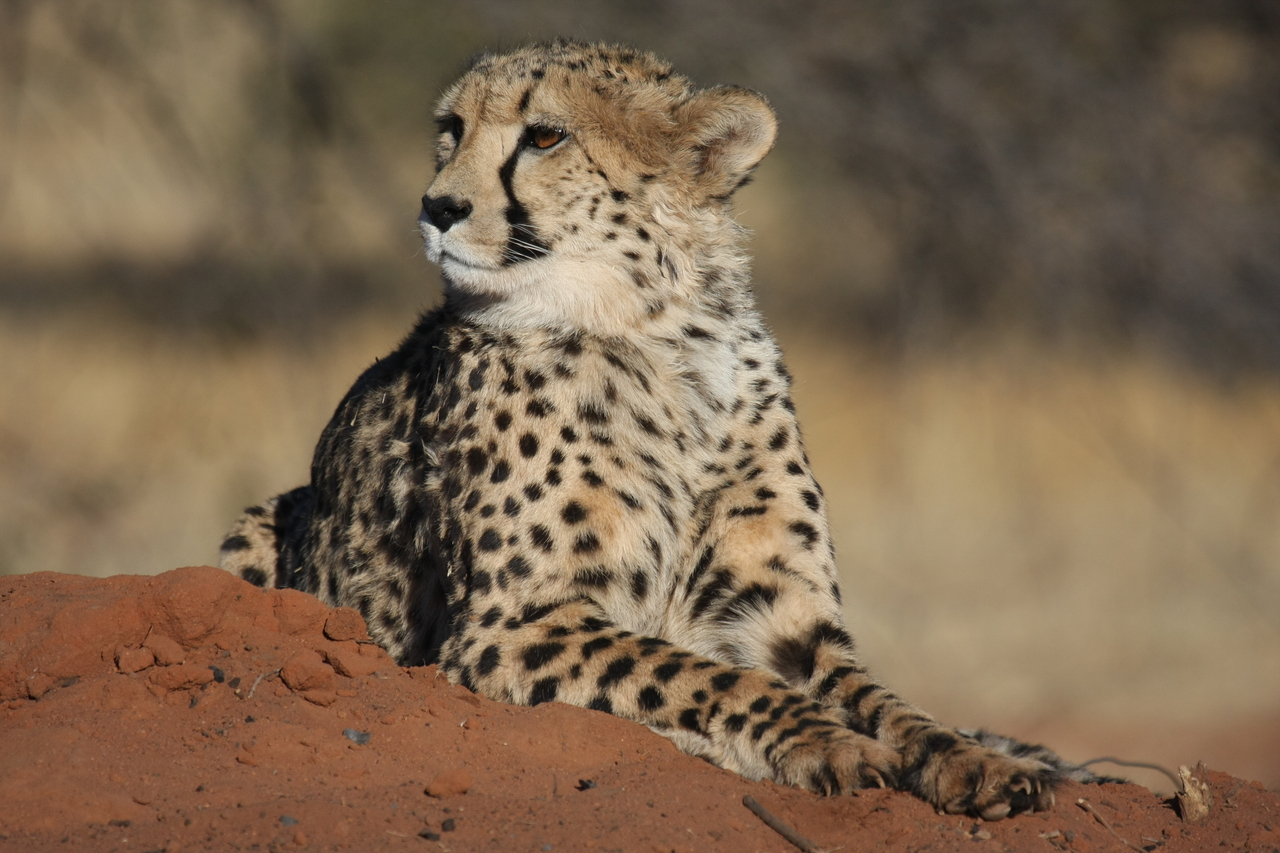 [6710] 2016_06_23_10_58_14_Africa_Canon_EOS_40D_IMG__01308.jpg