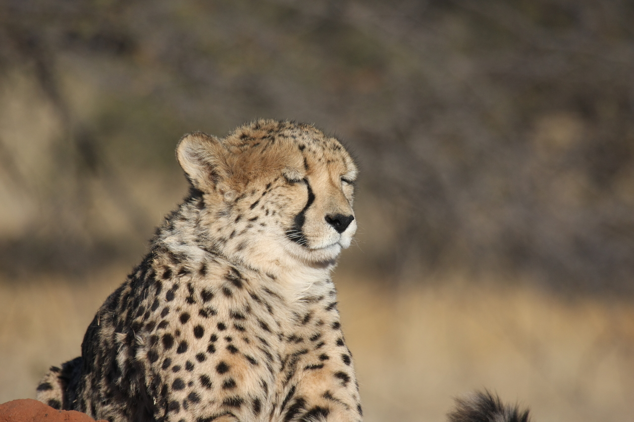 [6753] 2016_06_23_10_58_43_Africa_Canon_EOS_40D_IMG__01321.jpg