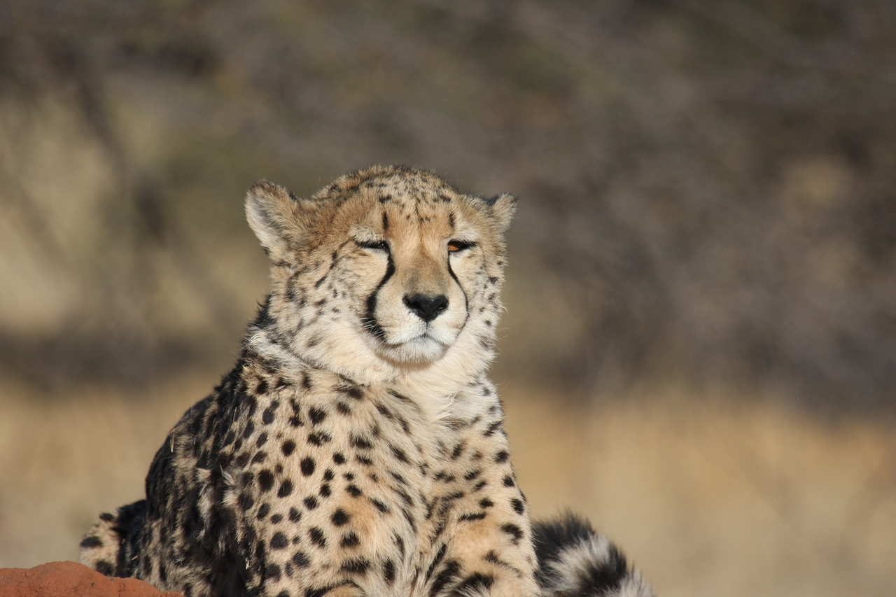 [6754] 2016_06_23_10_58_43_Africa_Canon_EOS_40D_IMG__01322.jpg