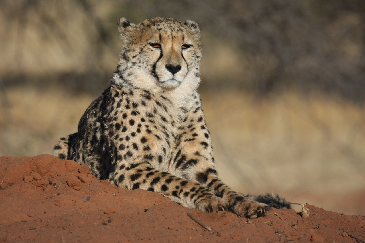 [6850] 2016_06_23_11_00_54_Africa_Canon_EOS_40D_IMG__01348.jpg