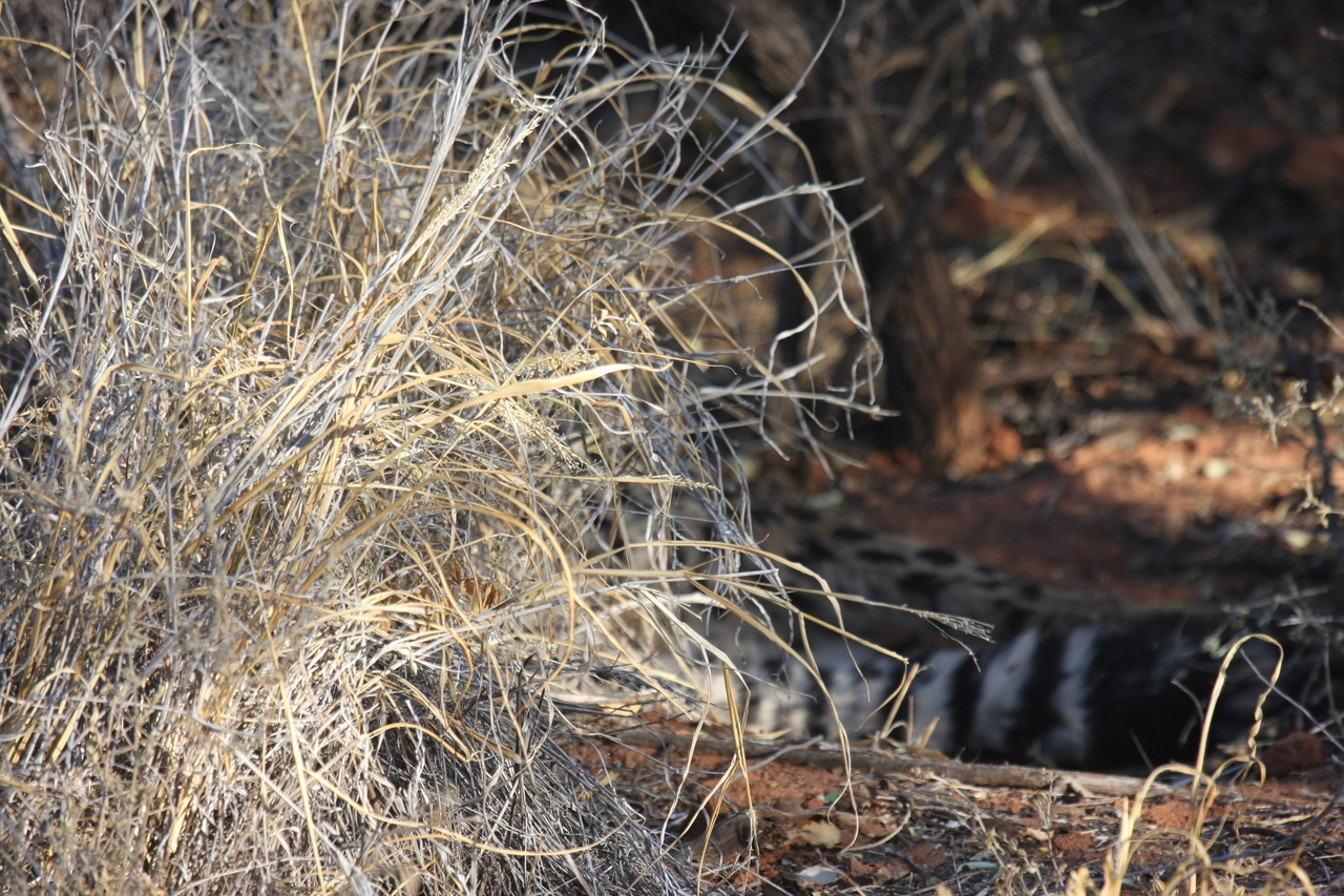 [6901] 2016_06_23_11_02_21_Africa_Canon_EOS_40D_IMG__01365.jpg