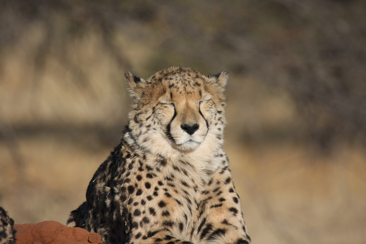 [7050] 2016_06_23_11_08_51_Africa_Canon_EOS_40D_IMG__00577.jpg